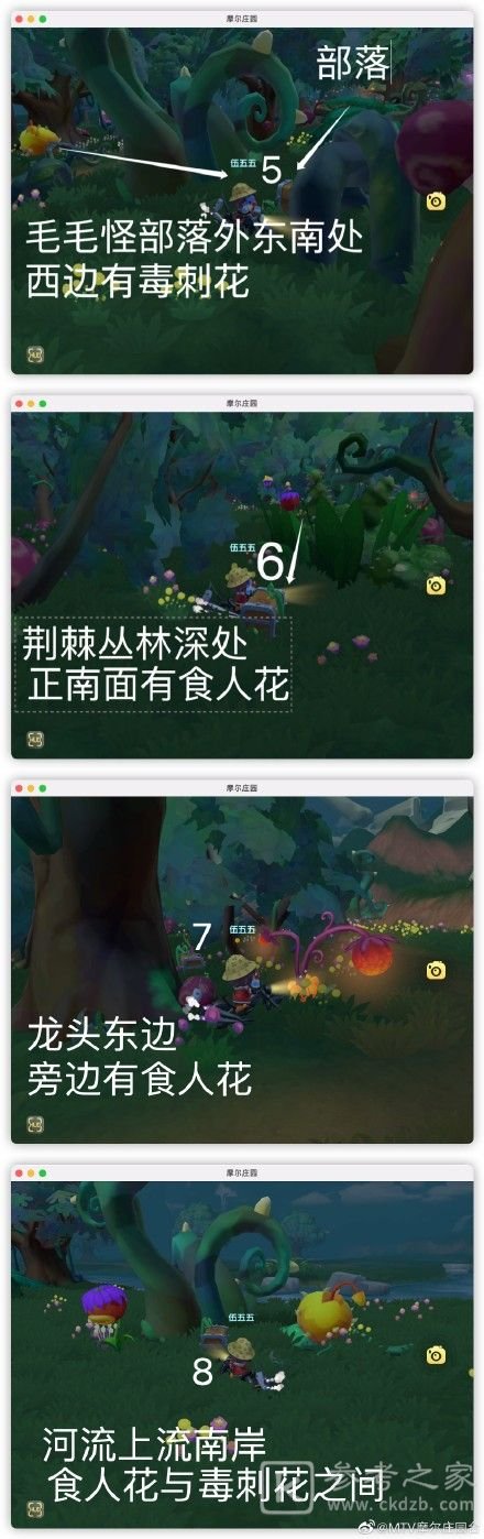 摩尔庄园凯文老师的特训任务怎么做？凯文老师的特训任务攻略图片4