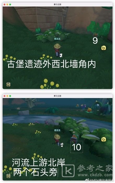 摩尔庄园凯文老师的特训任务怎么做？凯文老师的特训任务攻略图片5