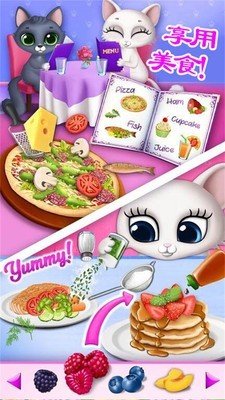 公主宠物小猫咪截图