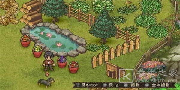 欢迎来到绵羊村汉化版
