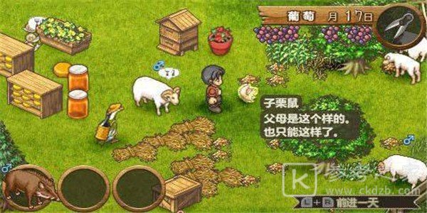 欢迎来到绵羊村汉化版