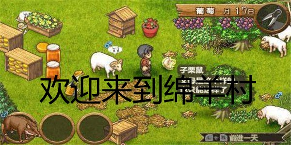 欢迎来到绵羊村汉化版截图