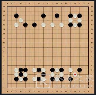 犯罪大师重生答案是什么？谜之解密重生黑白斑斑乌间鹭答案解析图片2