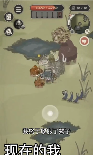 动物森林游戏截图