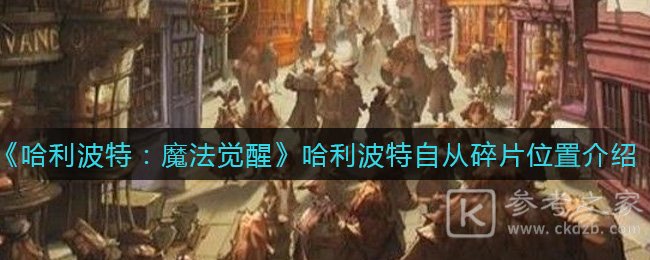 《哈利波特：魔法觉醒》哈利波特自从碎片位置介绍