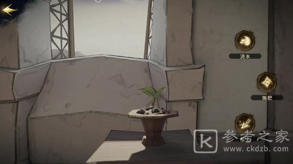 《哈利波特：魔法觉醒》冬青木盆栽位置介绍