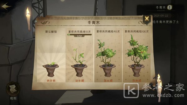 《哈利波特：魔法觉醒》冬青木盆栽位置介绍
