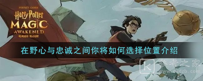《哈利波特：魔法觉醒》在野心与忠诚之间你将如何选择位置介绍