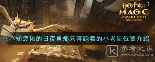 《哈利波特：魔法觉醒》在不知疲倦的日夜里那只奔跑着的小老鼠位置介绍