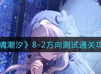 灵魂潮汐8-2方向测试通关攻略 灵魂潮汐8-2方向测试怎么打