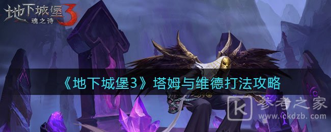 《地下城堡3：魂之诗》塔姆与维德打法攻略