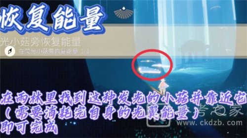 光遇雨林冥想处在哪 12.5每日任务流程介绍