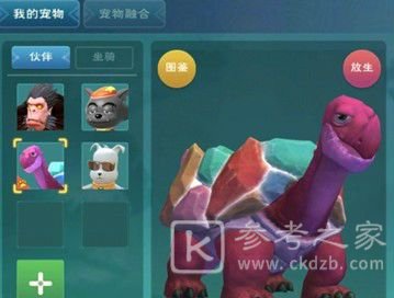 创造与魔法彩壳龟在哪 彩壳龟位置分布图攻略