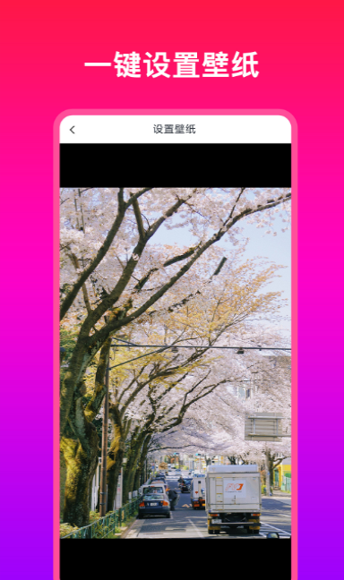 多多壁纸大全截图