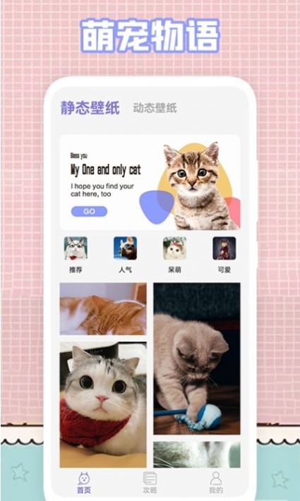 我的猫咪截图
