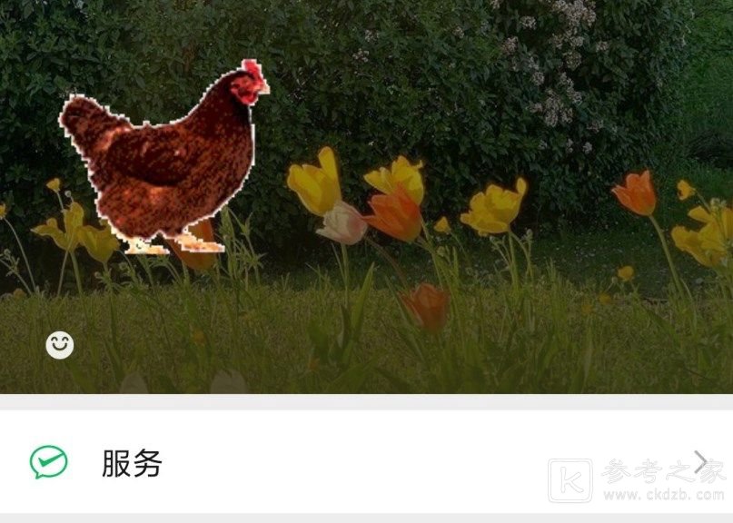 微信状态怎么养猪 微信状态养宠物攻略分享