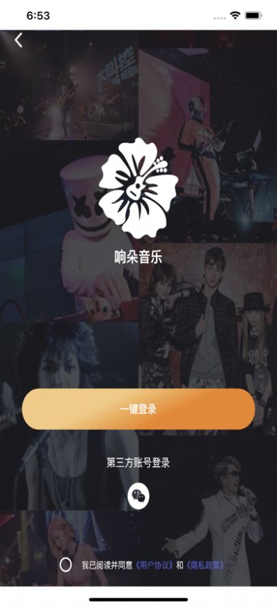 响朵音乐截图