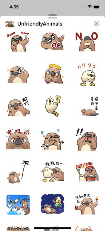 不友好活波鸟截图