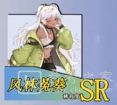 玛娜希斯回响角色强度排行 新手适合角色推荐