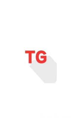 TG框架截图