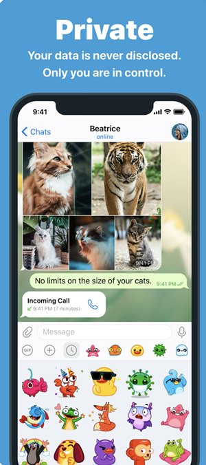 Telegram安卓版app截图
