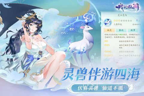 我的仙门手游攻略大全
