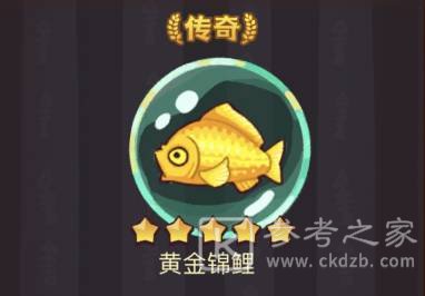 咸鱼之王黄金锦鲤最佳搭配