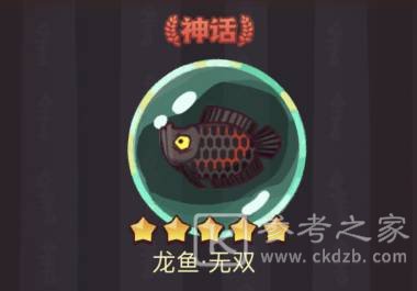 咸鱼之王龙鱼无双搭配推荐