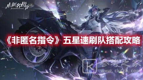 非匿名指令五星速刷阵容搭配