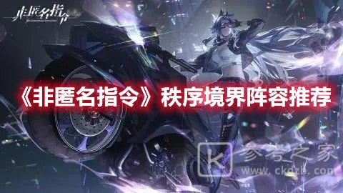 非匿名指令秩序境界过关攻略