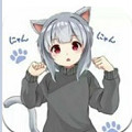 冷狐宝盒最新版