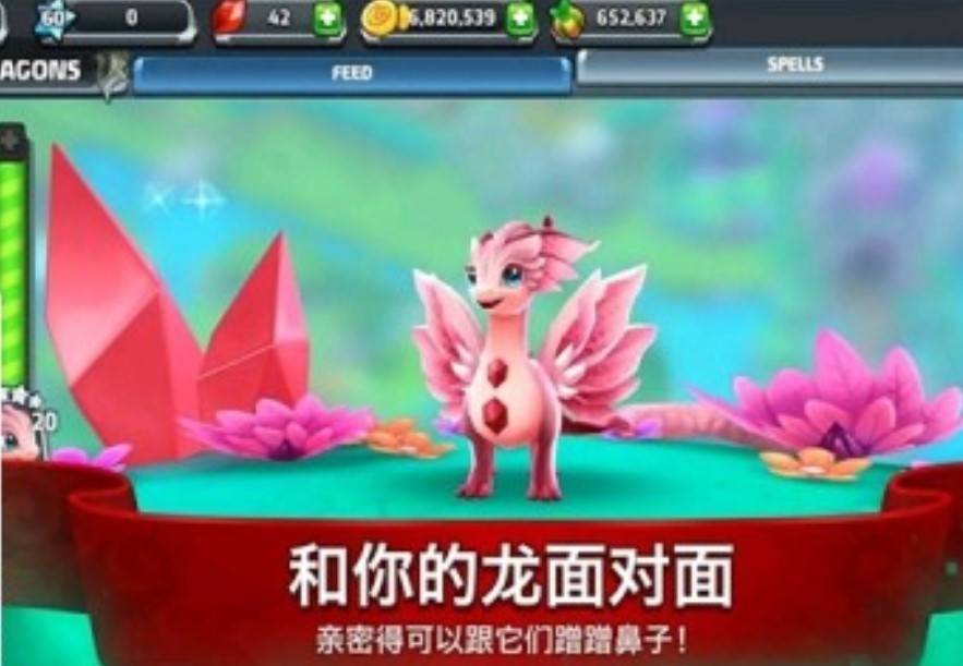 龙之驯兽师截图