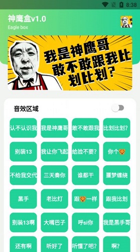 神鹰盒截图