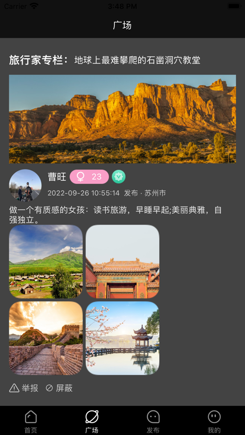 StyleArt艺画清爽版截图