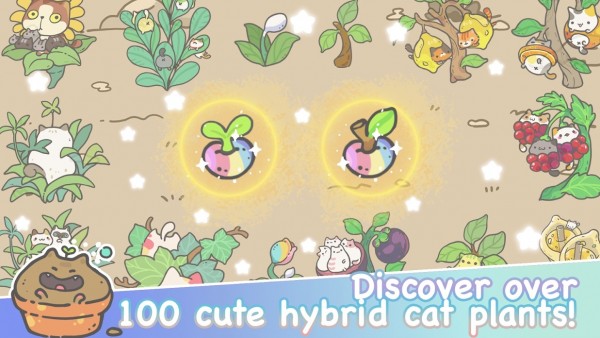 我的猫盆截图