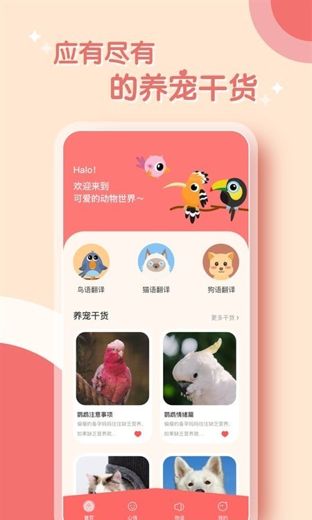 鸟语翻译器截图