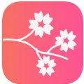 桃花相机app