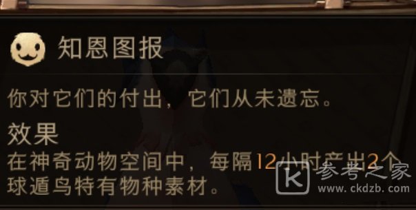 哈利波特魔法觉醒沙漠调查活动一览
