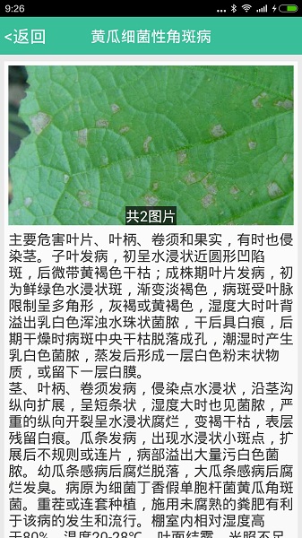 种好地最新版
