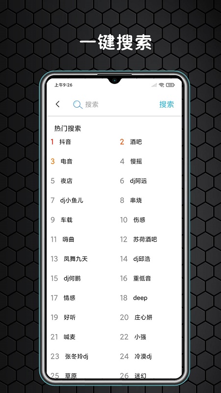 dj大全截图