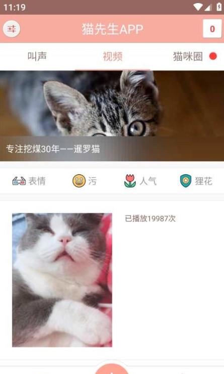 博猫管家截图