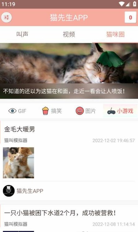 博猫管家截图