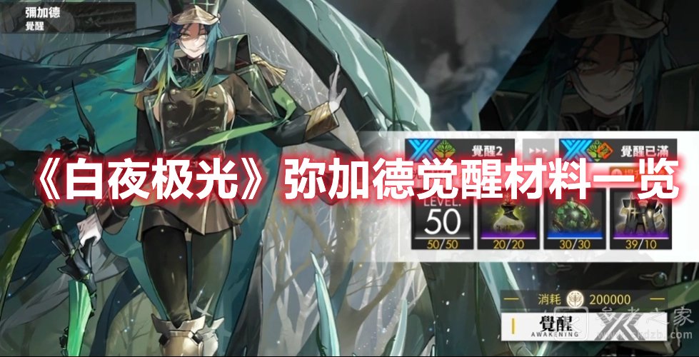 白夜极光弥加德觉醒材料一览