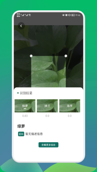小园丁免费截图