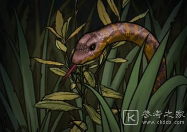 山村老屋4深林魅影第二章全流程攻略