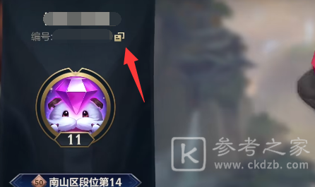 英雄联盟手游好友称号怎么获得 好友称号获取及设置方法[多图]图片3
