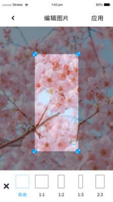 P图照片处理截图