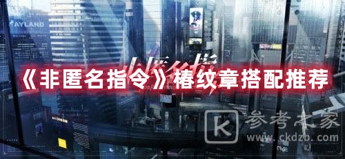 非匿名指令椿纹章搭配推荐