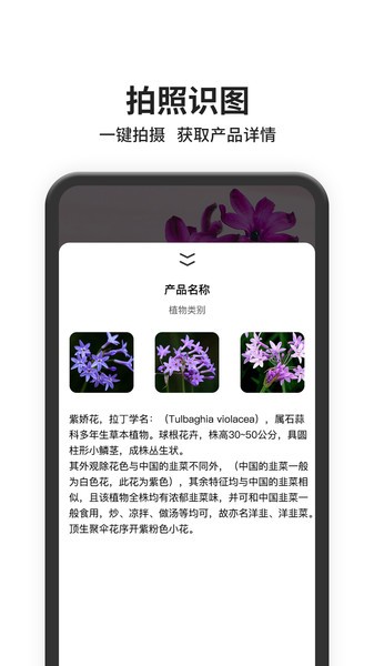 图片搜索截图