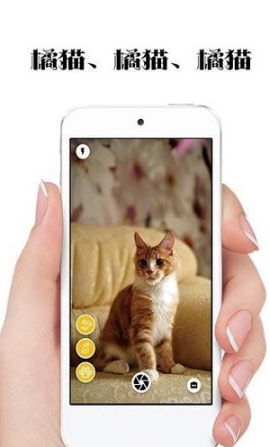 极简猫咪相机截图